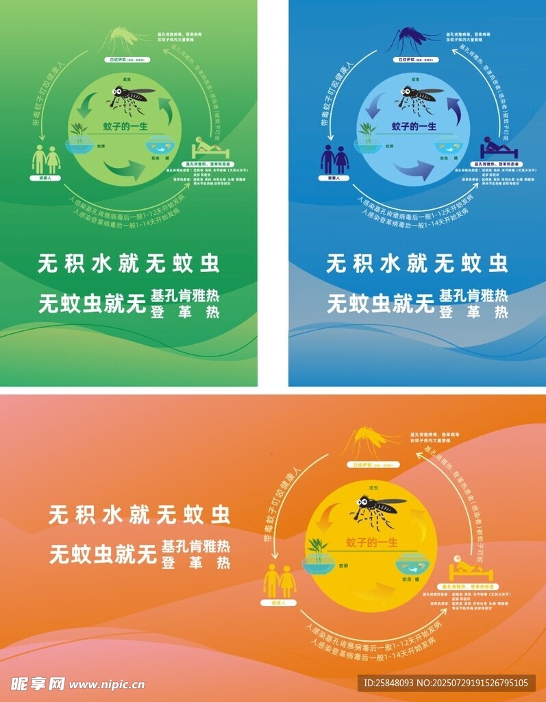 登革热基孔肯雅热宣传海报
