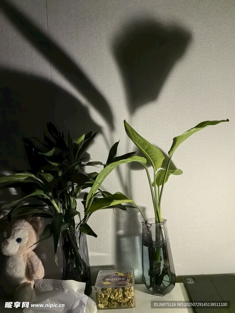 灯光下的绿植与玩偶的温馨角落