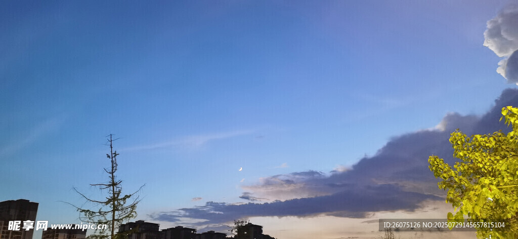 蓝天绿树间的远方景致