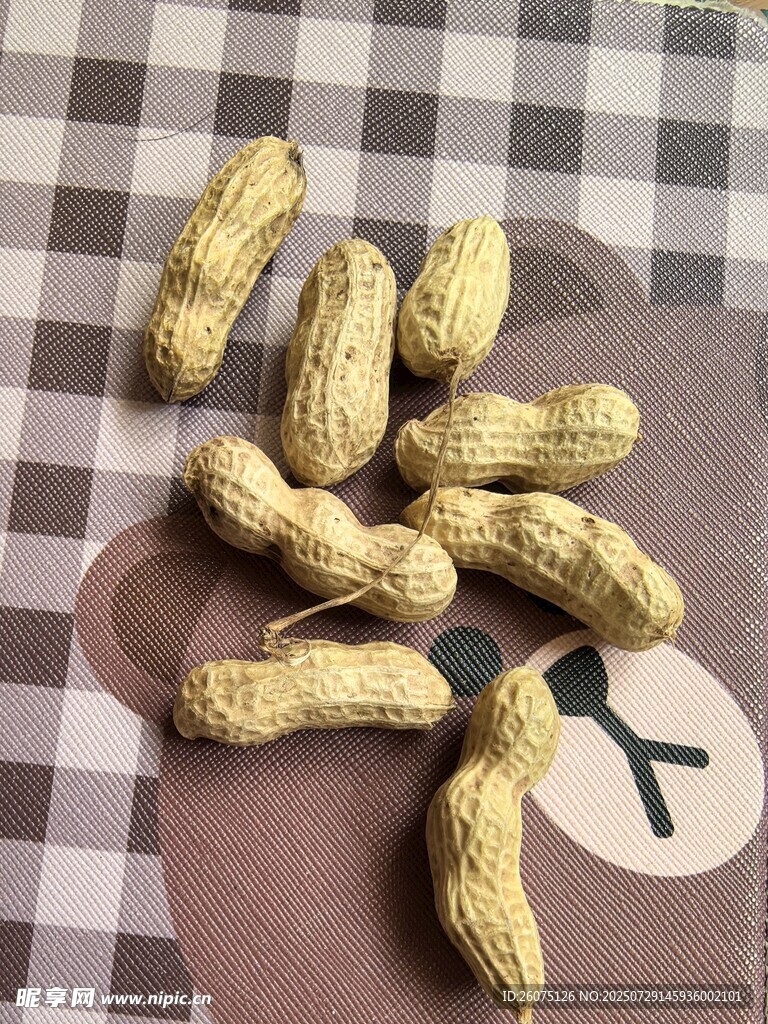 散落的带壳花生