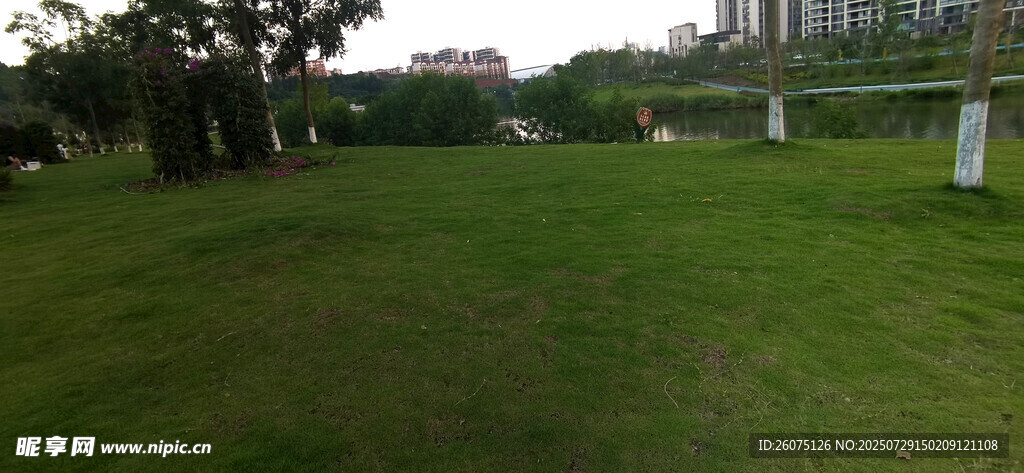 户外开阔草地风景