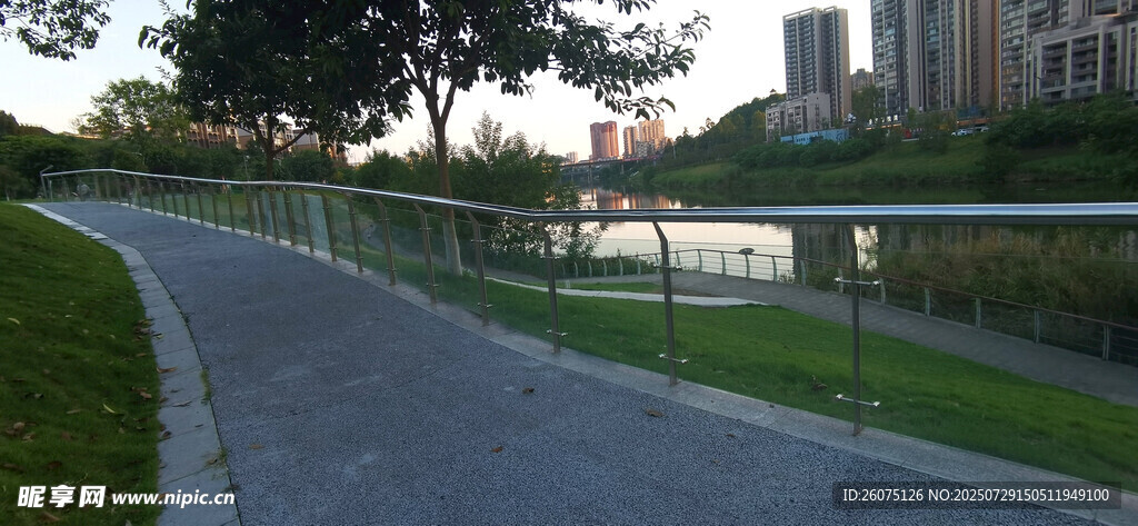 城市中的宁静林荫小路与玻璃护栏