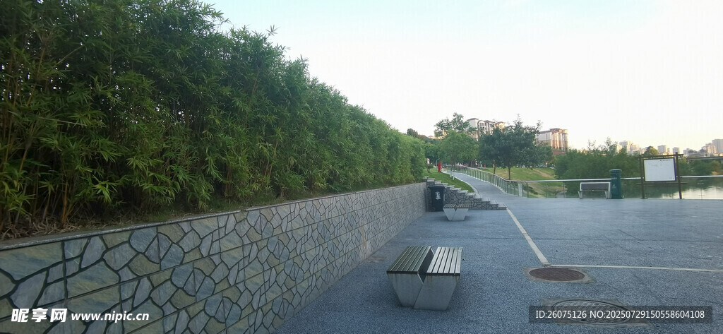 广场旁茂密竹林与休息长椅景观