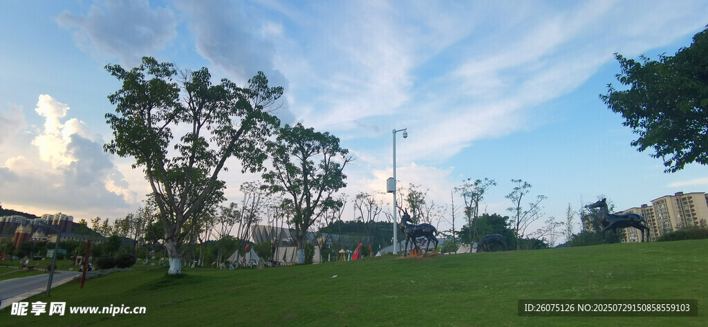 户外绿地树木蓝天白云自然风景