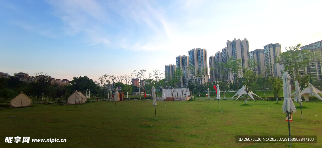 城市绿地旁的高楼景观