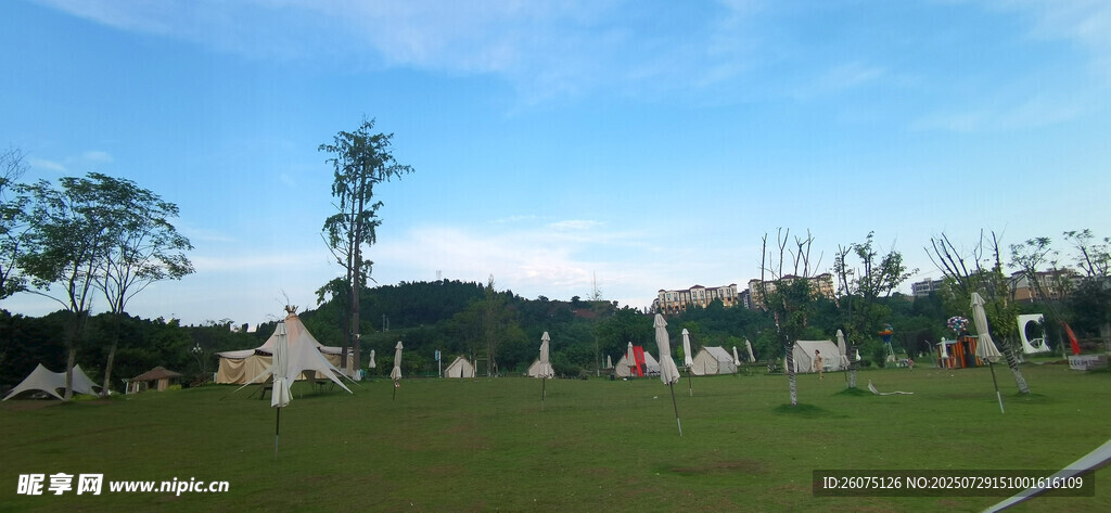 户外露营草地风景