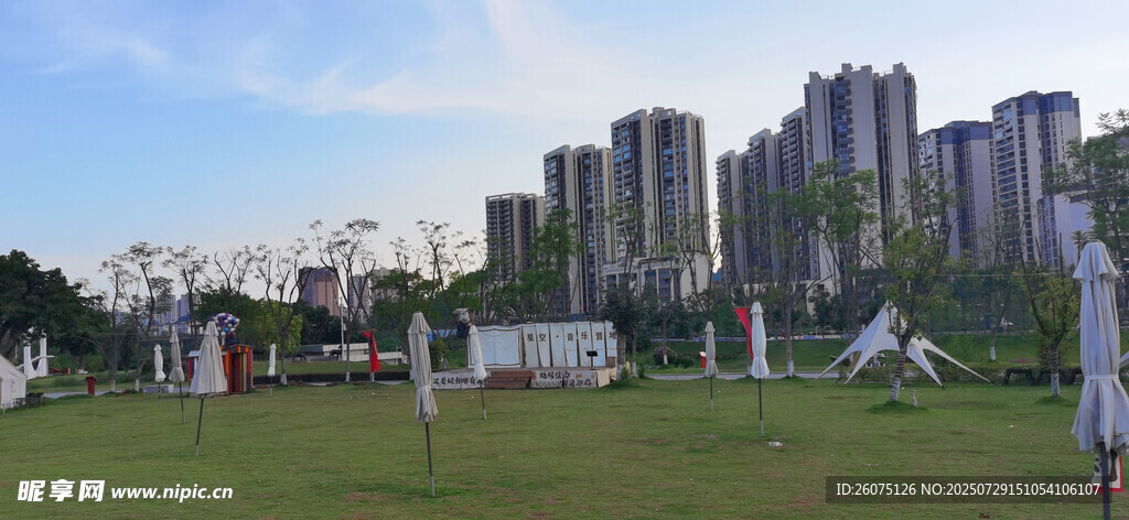 城市绿地旁的高楼景观