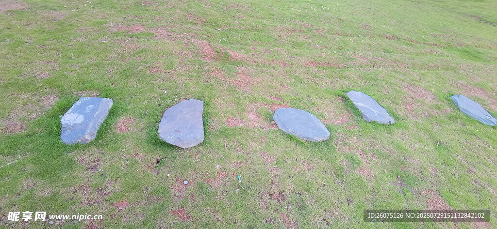 草地上的蓝色石板路