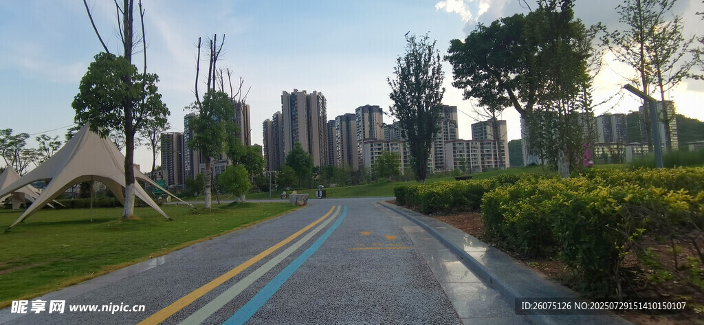 公园中的宽阔柏油道路