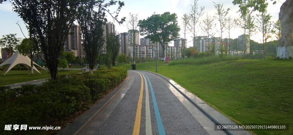 城市中的彩色自行车道
