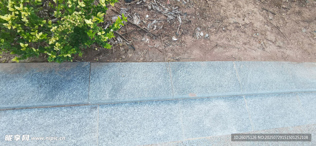 户外石板路与绿植景观
