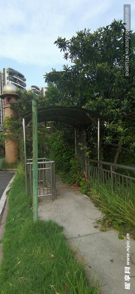 户外小径旁的绿植景观
