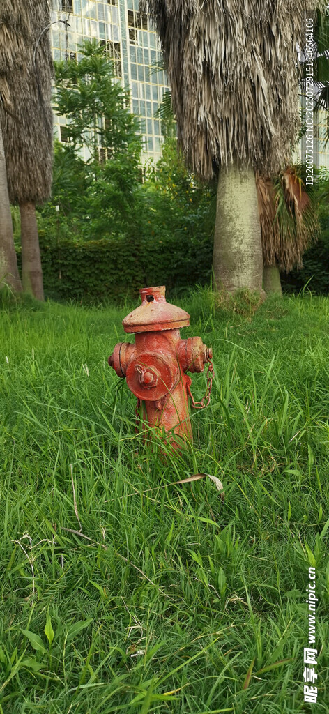 翠草地与红色消防栓