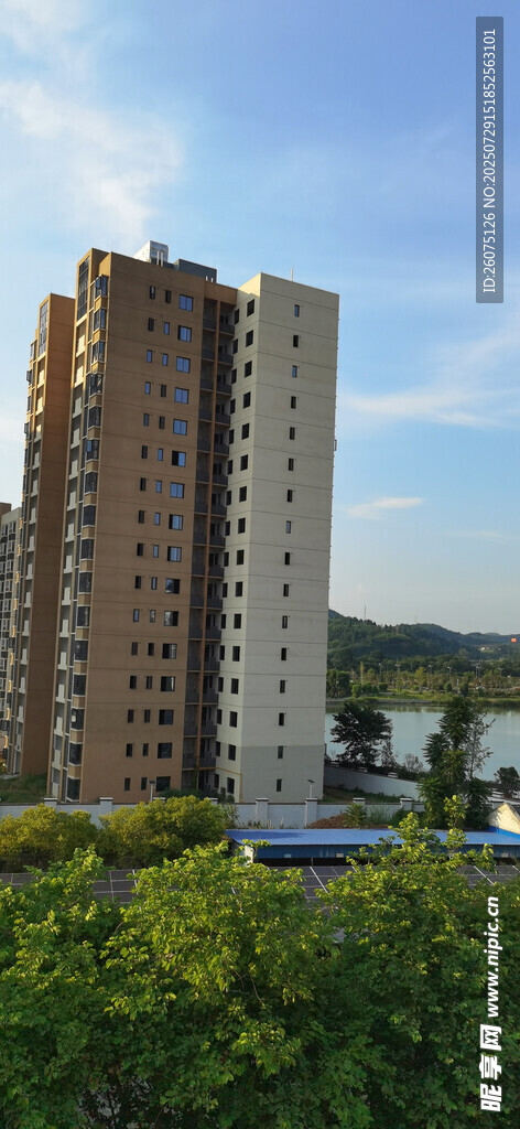 高层住宅旁的绿植景观