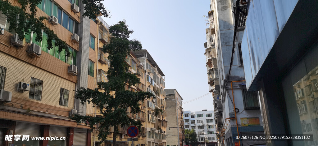 城市街道两旁的建筑景观