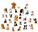 多样萌犬集合