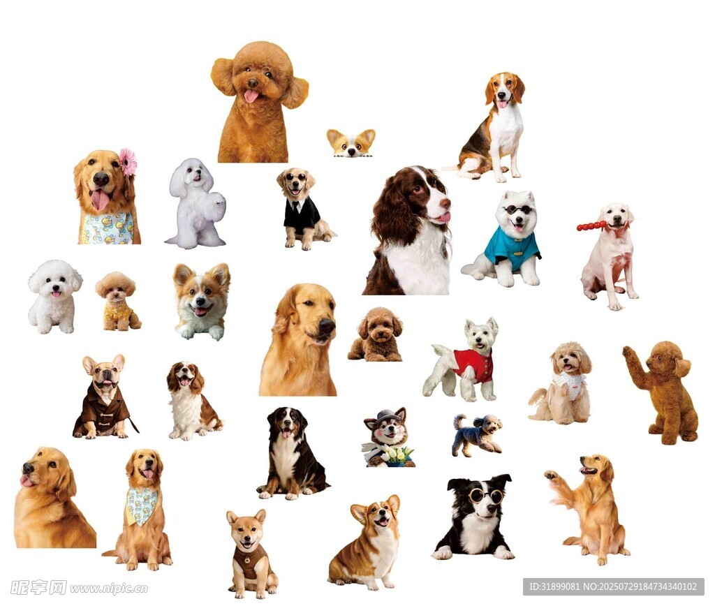 多样萌犬集合