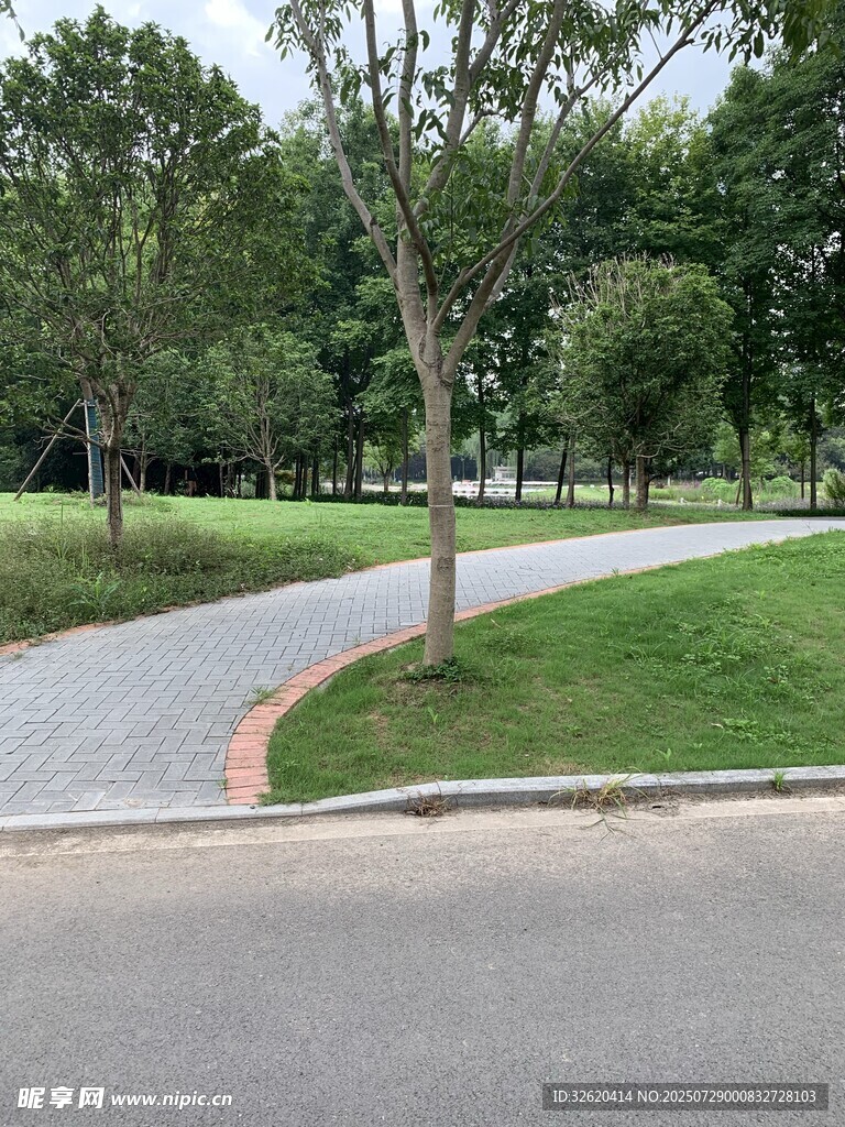 城市中的静谧林荫小路