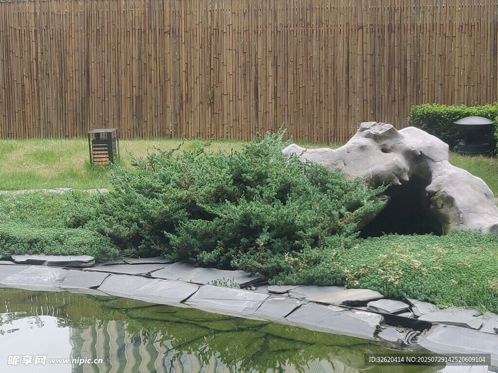 岩石与绿植景观