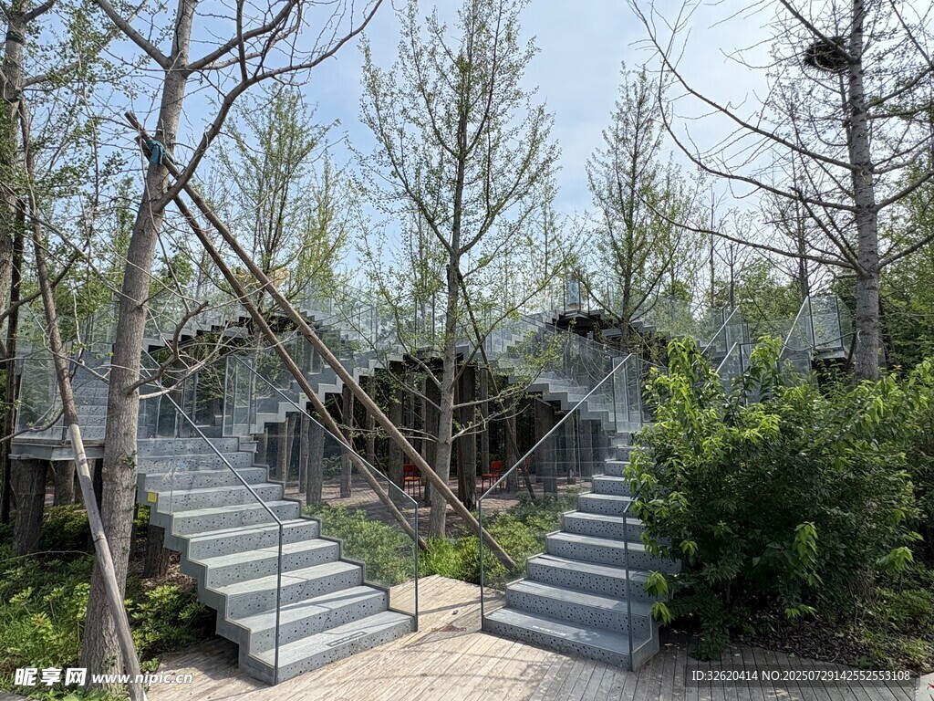 林间木质阶梯景观