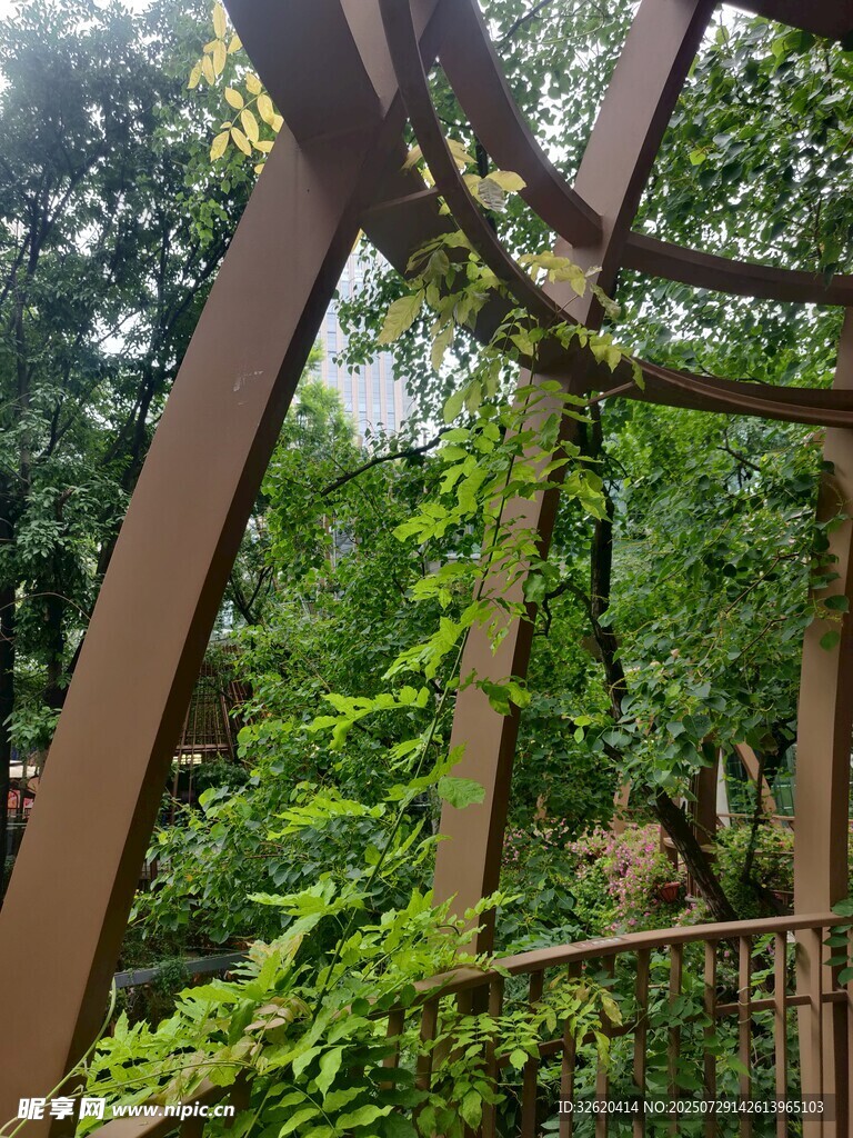 铁艺架上绿植繁茂生长