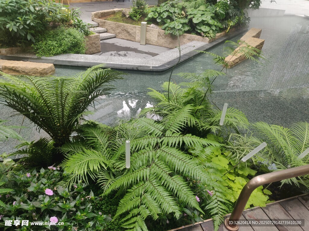 精致庭院绿植景观