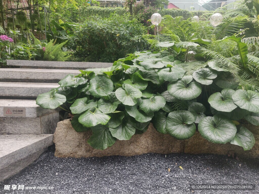 石边绿植景观