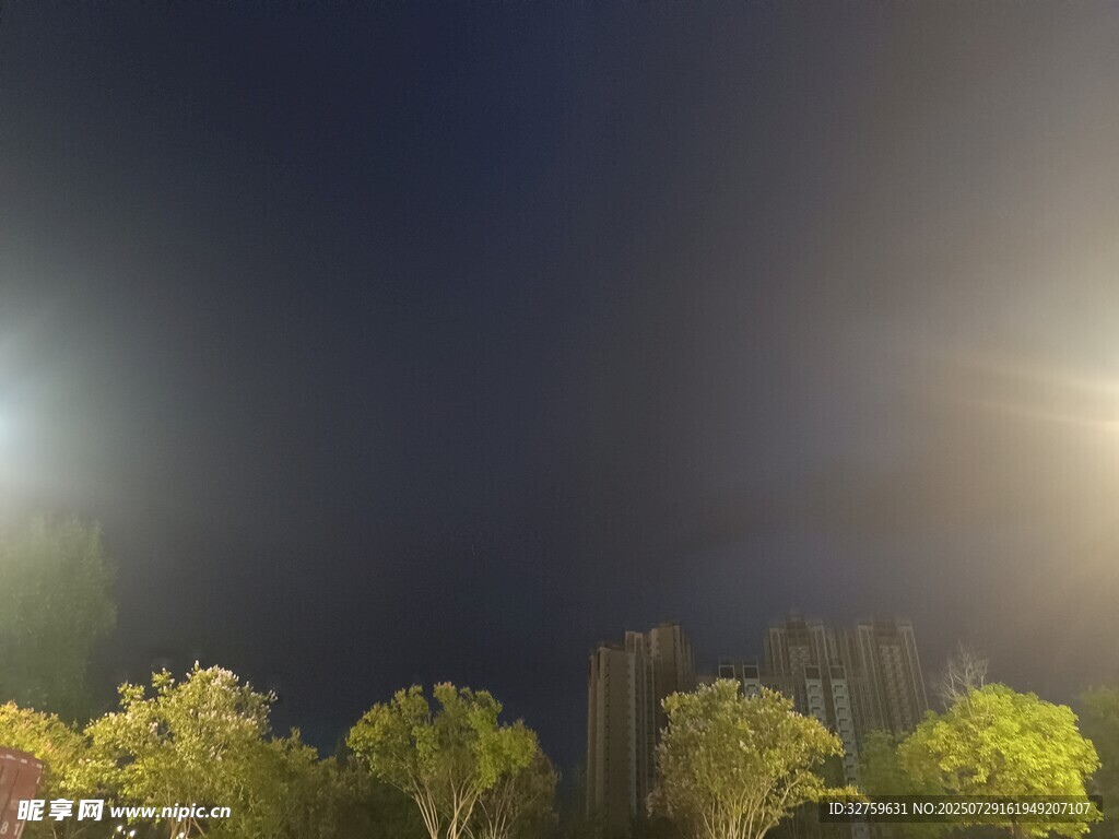 夜晚城市灯光下的绿植景观