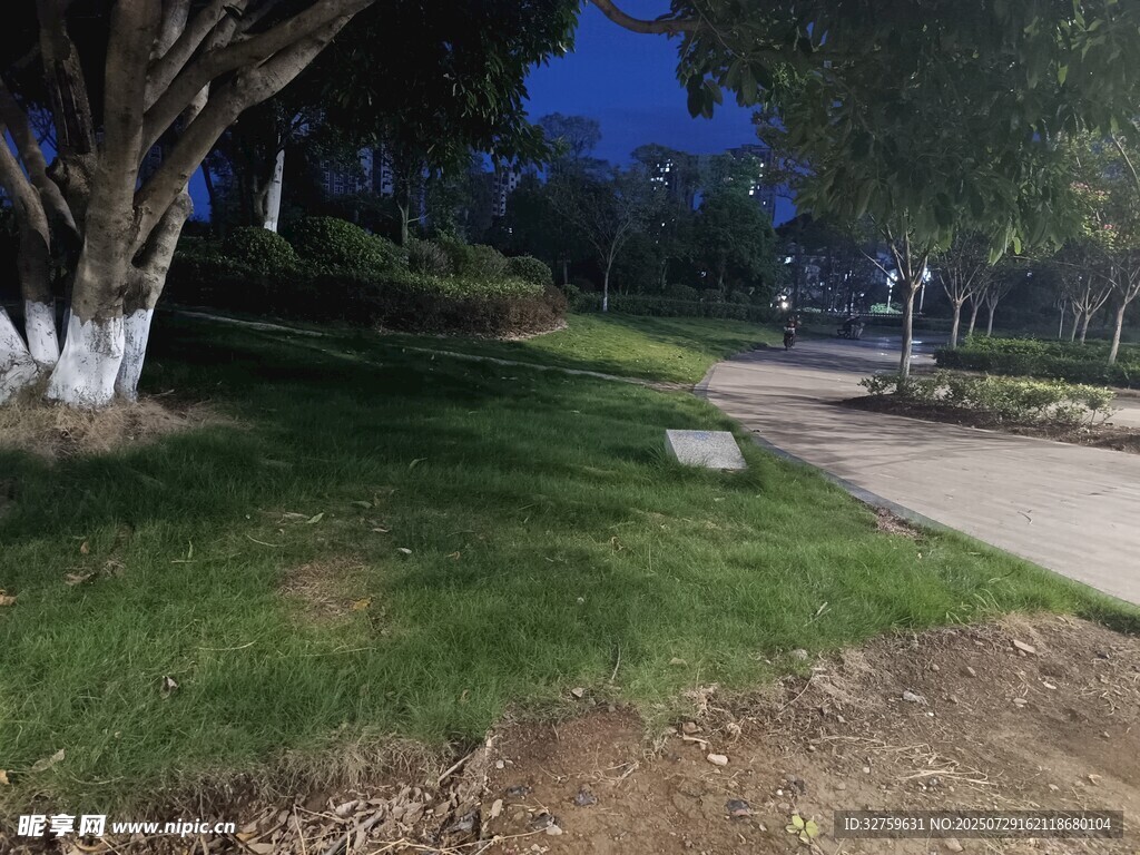 夜晚公园小径的静谧景致