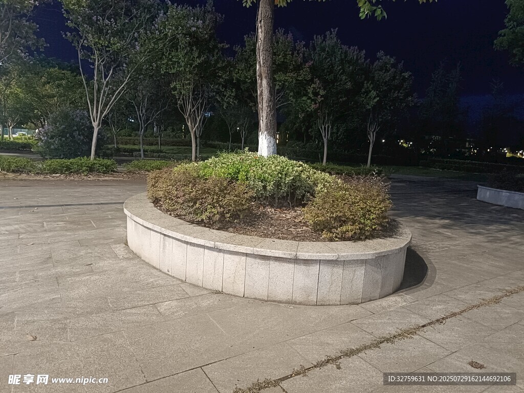 圆形花坛中的绿植与树木