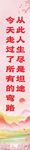 尽是坦途