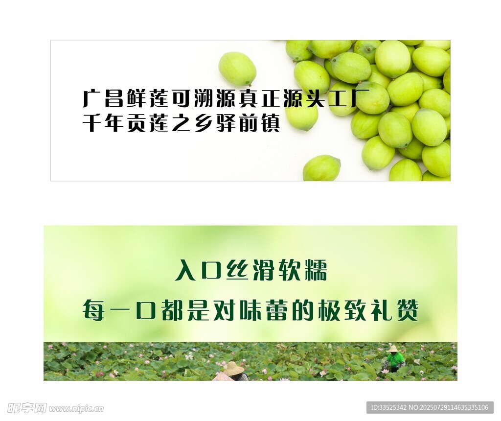 莲子 莲蓬 绿色农产品海报