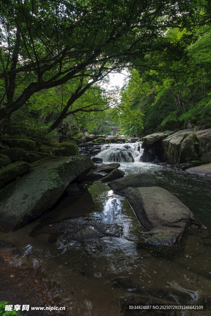 山林间潺潺溪流美景