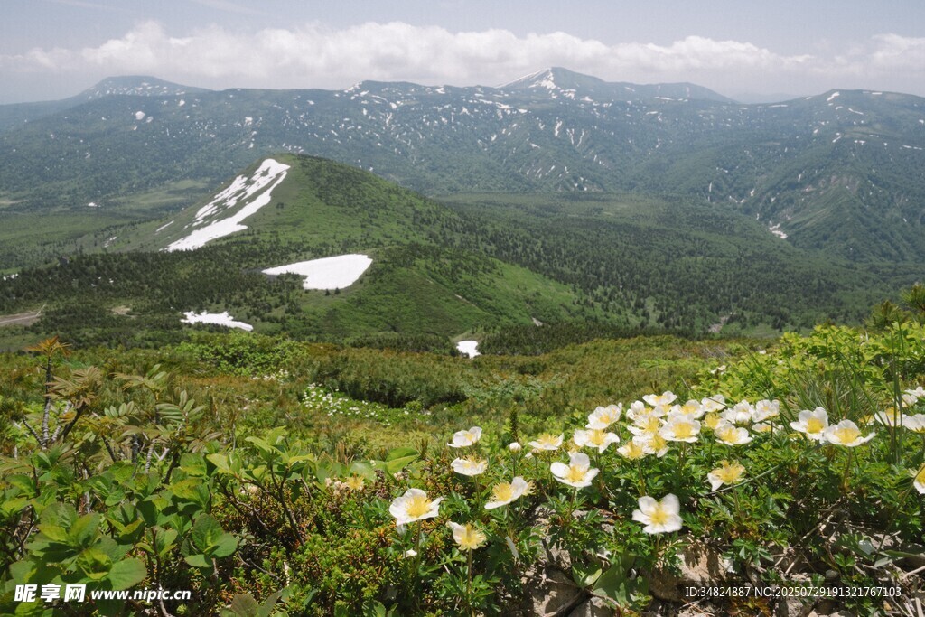 山间繁花与远处雪色美景