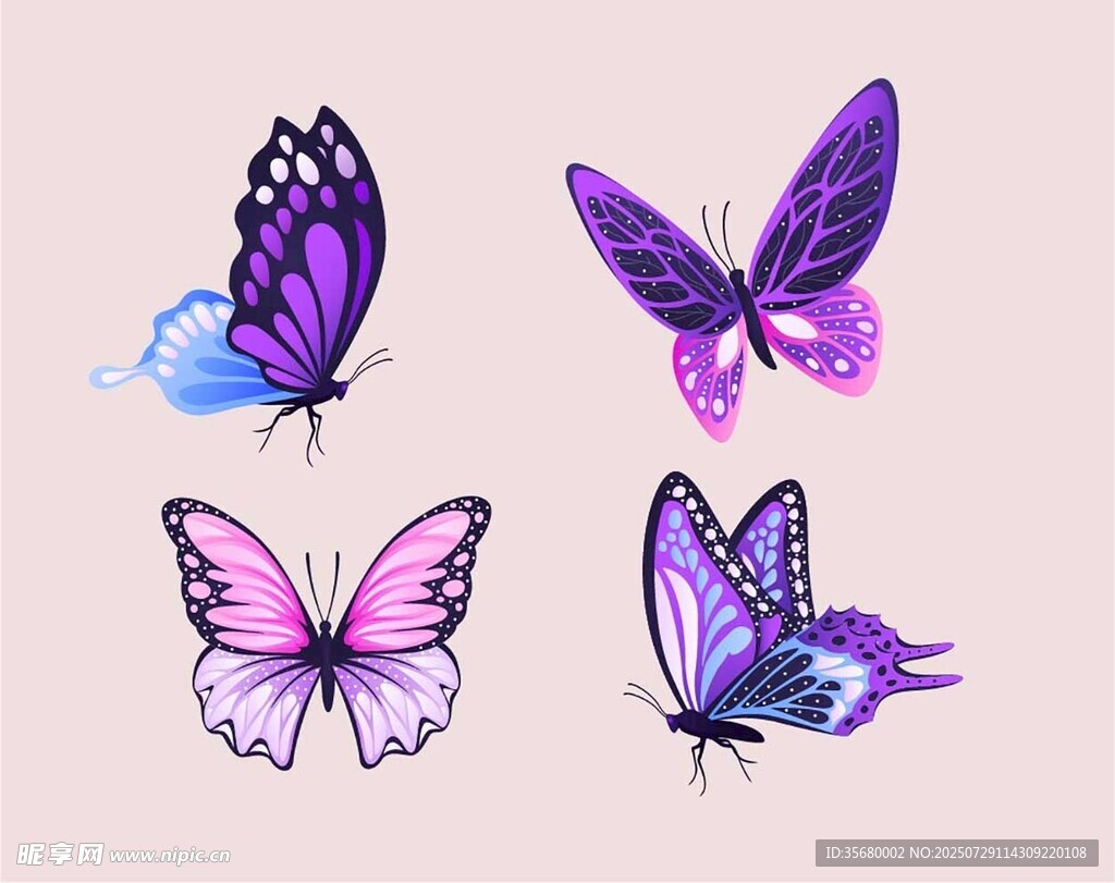 蝴蝶插画