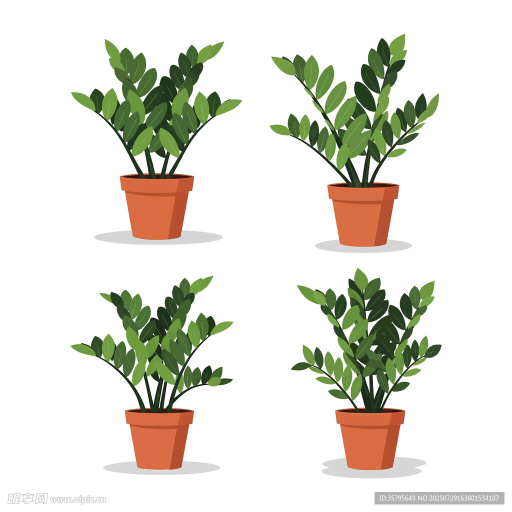 卡通盆栽插图