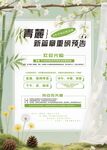 清新简约春季餐饮海报