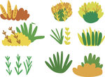 植物插画