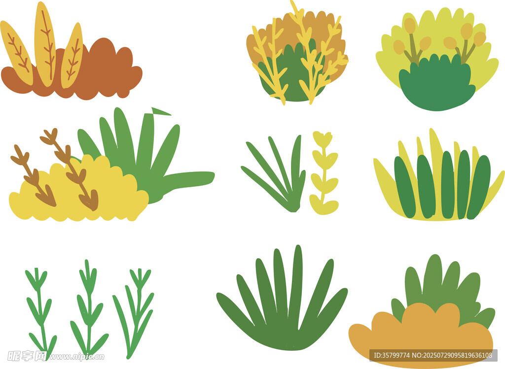 植物插画