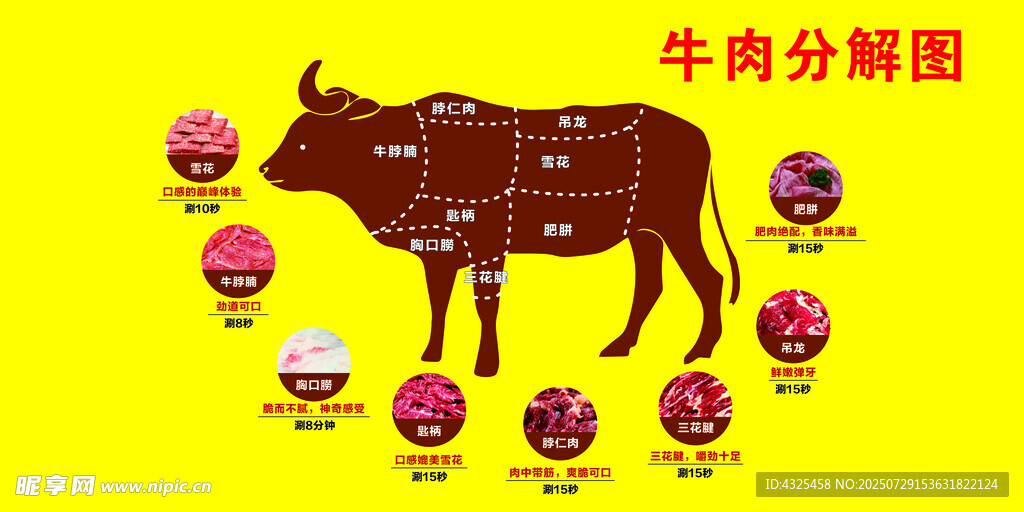 牛肉部位详细分解图