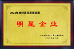 明星企业荣誉牌匾