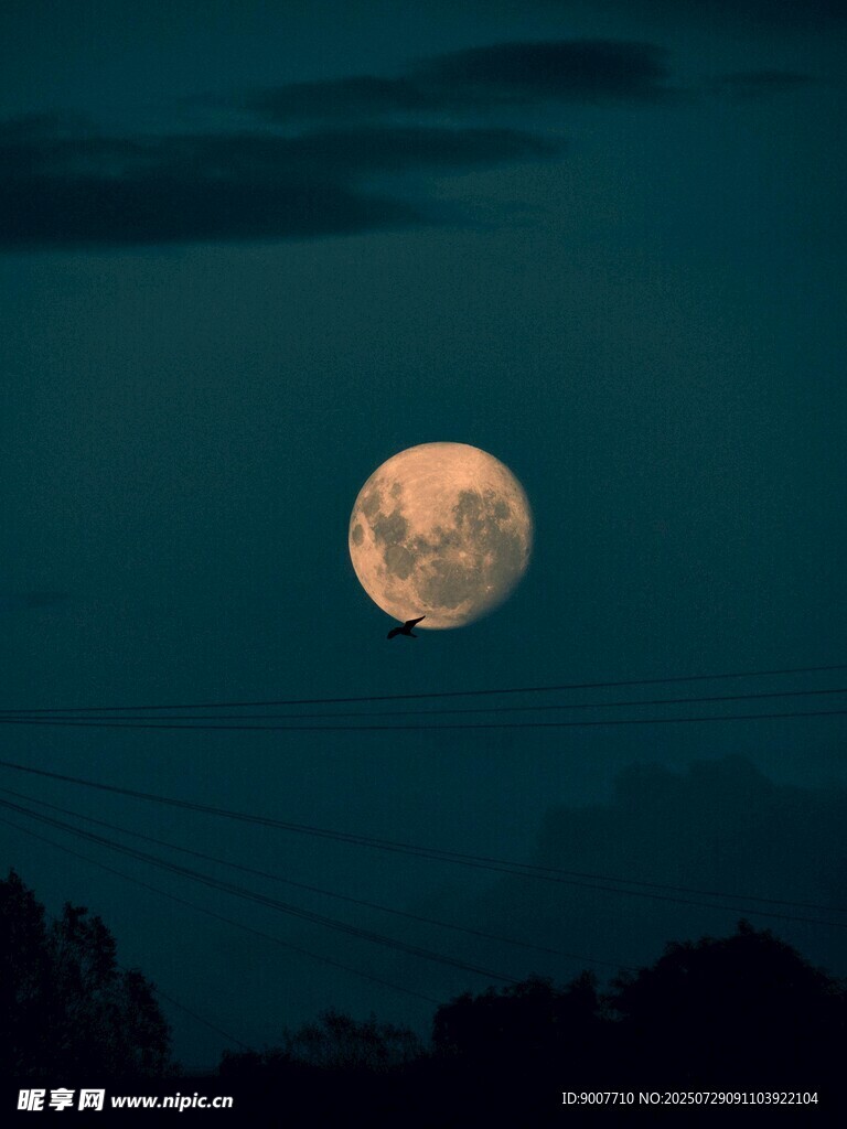 夜空下的满月