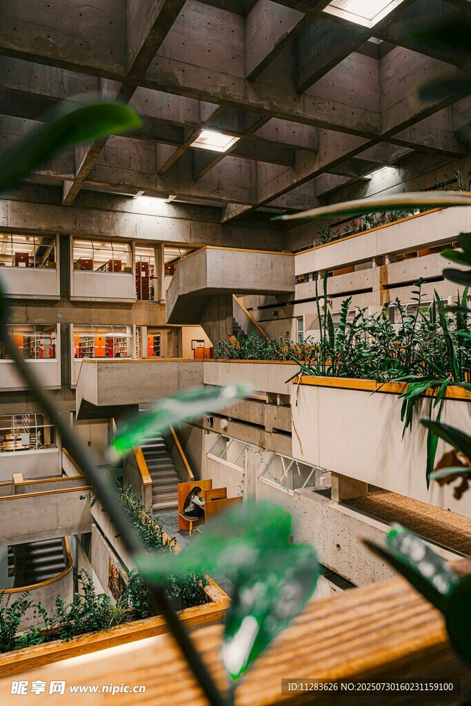 室内绿植环绕的多层空间