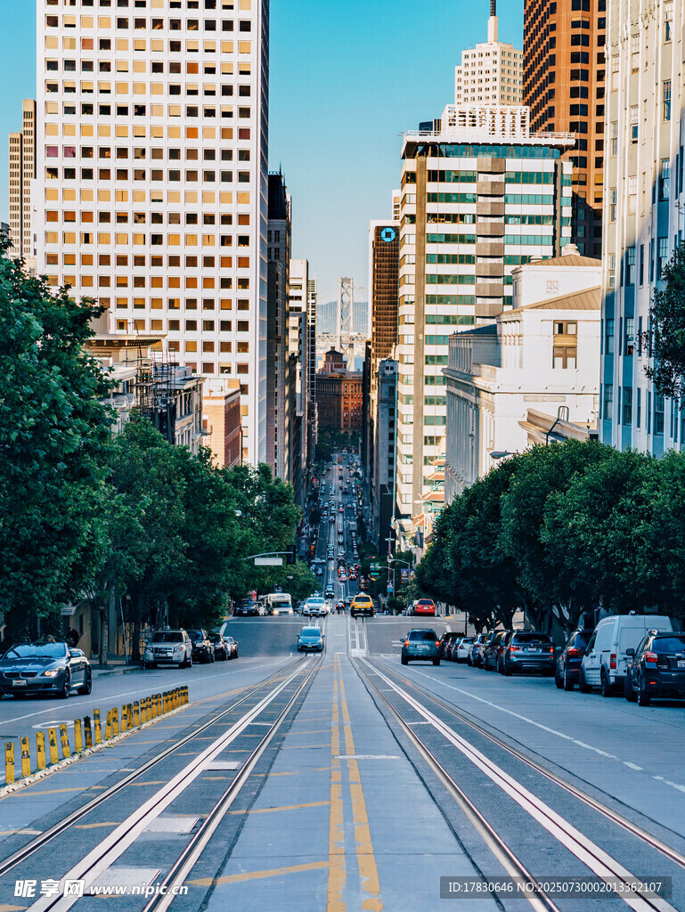 城市街道与林立高楼景观