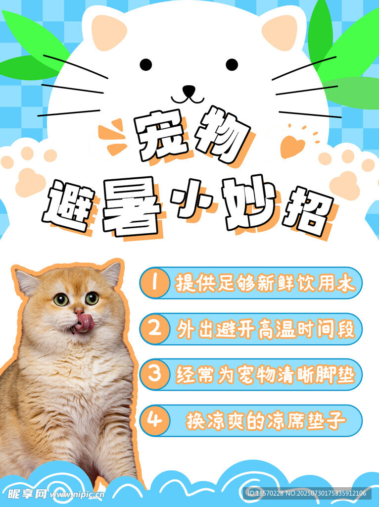 夏季宠物避暑小妙招