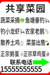 展板海报共享菜园