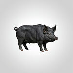 AI生画