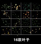 飘落的叶子