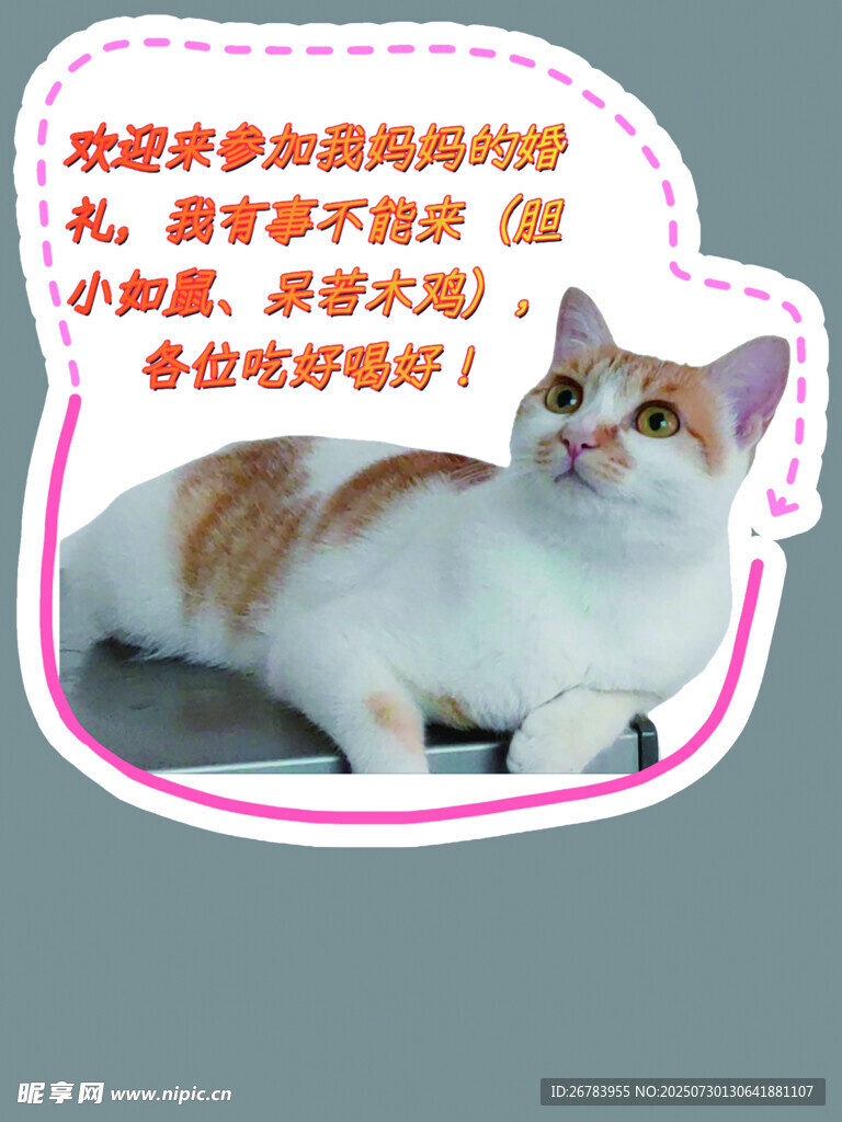 猫咪呼吁多参加线下活动