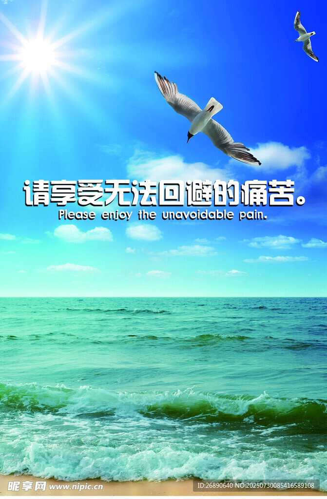 碧海蓝天海鸥伴阳光海岸 合成图